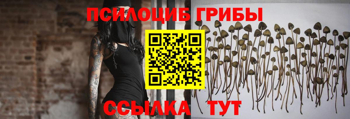 Галлюциногенные грибы Psilocybine cubensis  Вход с VPN  Галлюциногенные грибы ЛСД  дарнет шоп  Ставрополь 