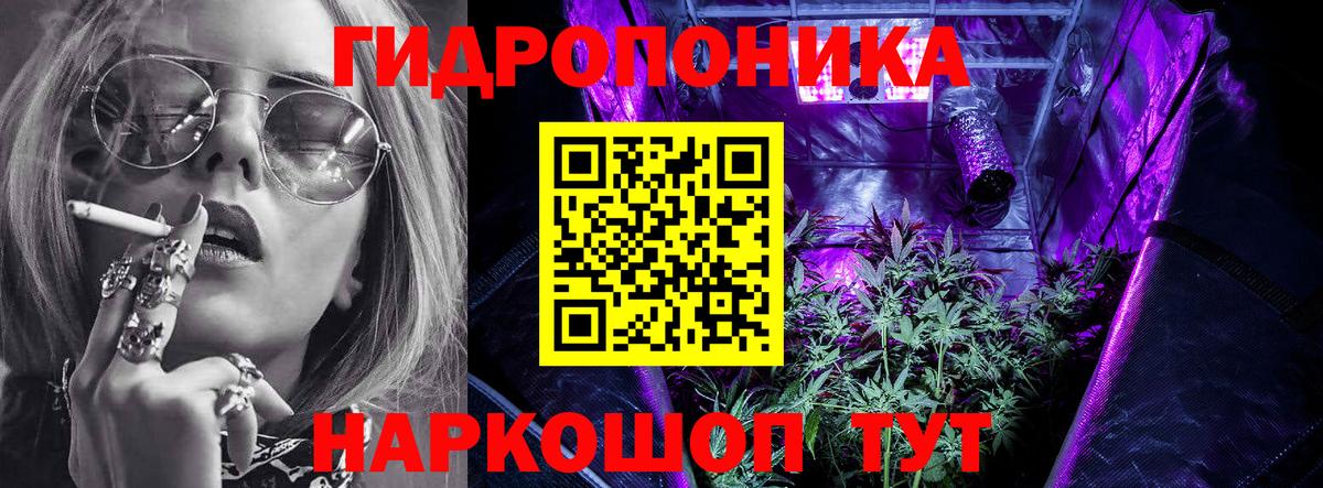 Канабис Amnesia  Бошки Шишки гибрид  Канабис ГИДРОПОН  Ставрополь  МАРИХУАНА сатива  Вход с VPN 